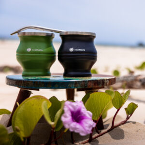 Gourd + Bombilla straw bundle